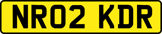 NR02KDR