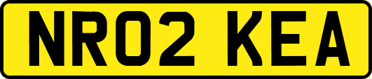NR02KEA