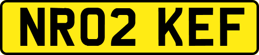 NR02KEF