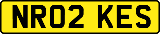 NR02KES
