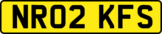 NR02KFS