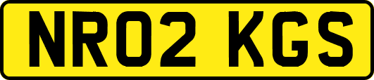 NR02KGS