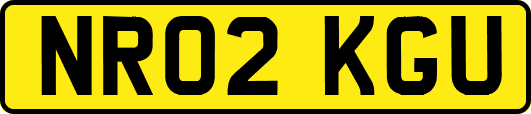 NR02KGU