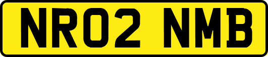 NR02NMB