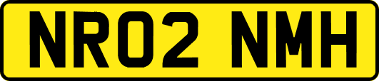 NR02NMH