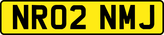 NR02NMJ