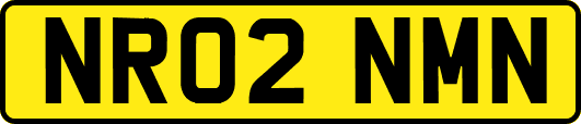 NR02NMN