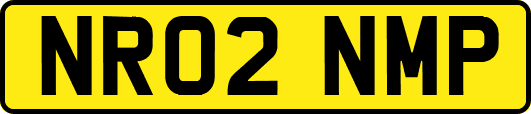 NR02NMP