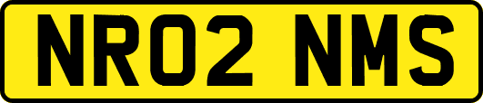NR02NMS