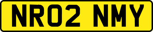 NR02NMY