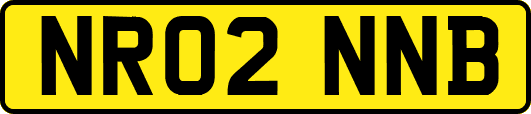 NR02NNB