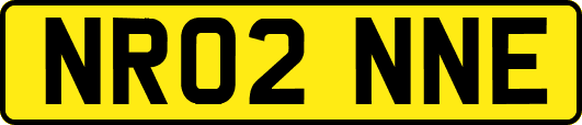 NR02NNE