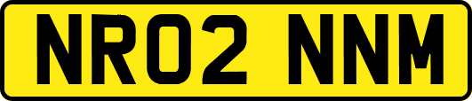 NR02NNM