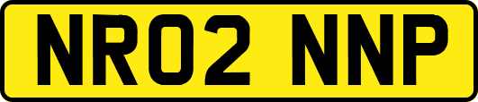 NR02NNP