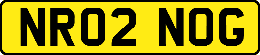 NR02NOG