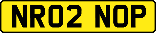 NR02NOP