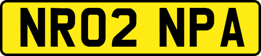 NR02NPA