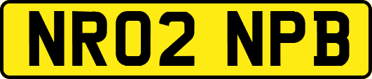 NR02NPB