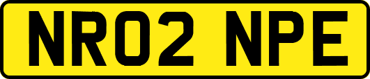 NR02NPE