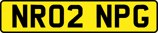 NR02NPG