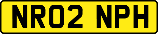 NR02NPH