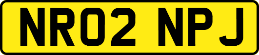 NR02NPJ