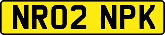 NR02NPK