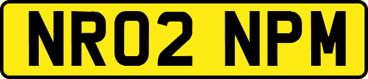 NR02NPM