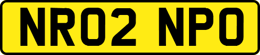 NR02NPO