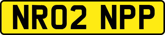 NR02NPP