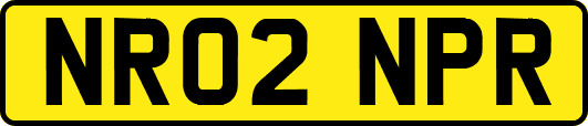 NR02NPR