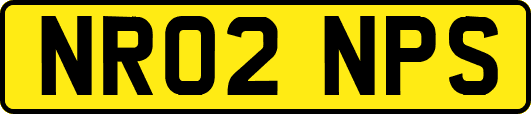 NR02NPS