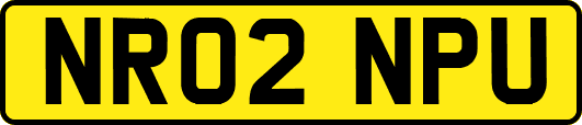 NR02NPU