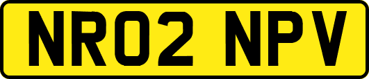 NR02NPV