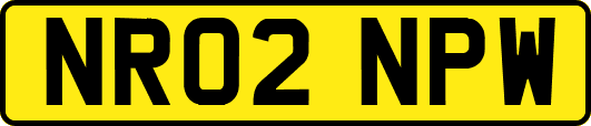 NR02NPW
