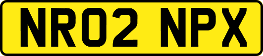 NR02NPX