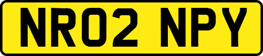 NR02NPY