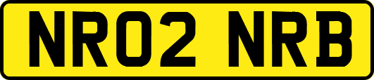 NR02NRB