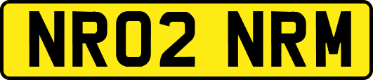 NR02NRM