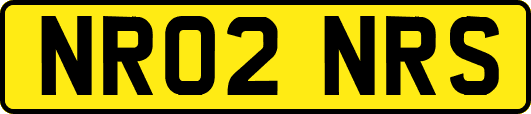 NR02NRS