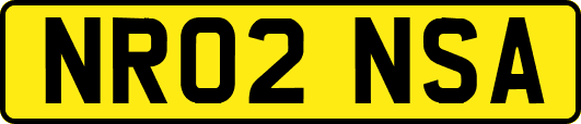 NR02NSA