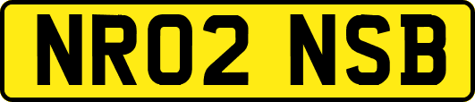 NR02NSB