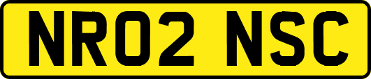 NR02NSC