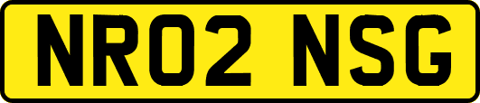 NR02NSG