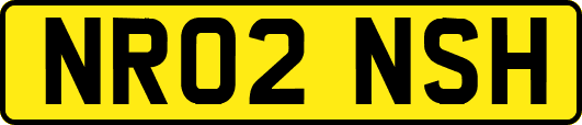 NR02NSH