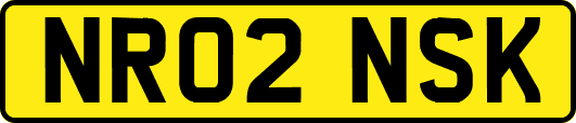 NR02NSK