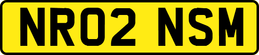 NR02NSM