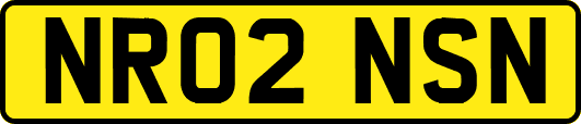 NR02NSN