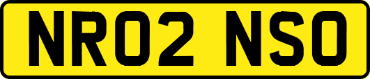 NR02NSO
