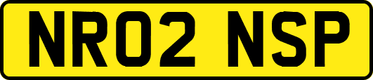 NR02NSP